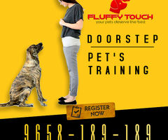 We offers Pet Grooming and Pet Training Services at Home in Delhi-NCR